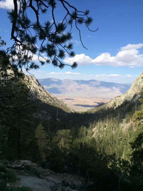 View from Mt Whitney Trail