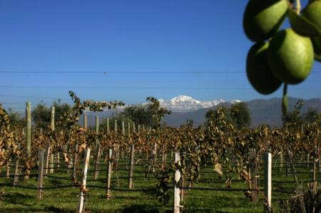 Wine region outside Mendoza